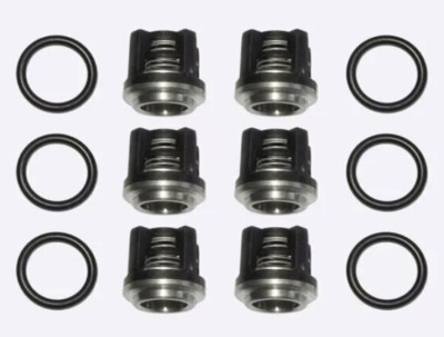 Комплект клапанов KIT 42169 для Annovi Reverberi RW, RG