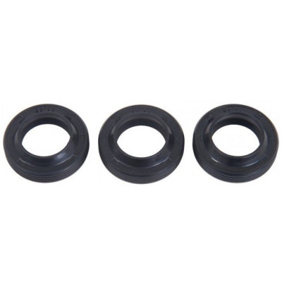 Масляные уплотнения штока плунжера (аналог KIT 271) 15х24х5/7 для Interpump (IPG), 3 шт