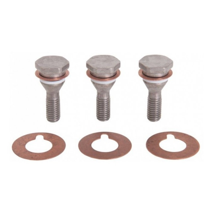 Болты фиксации плунжера KIT 6 (34000601) c уплотнением для насоса Interpump(IPG) Series 47, 3 шт
